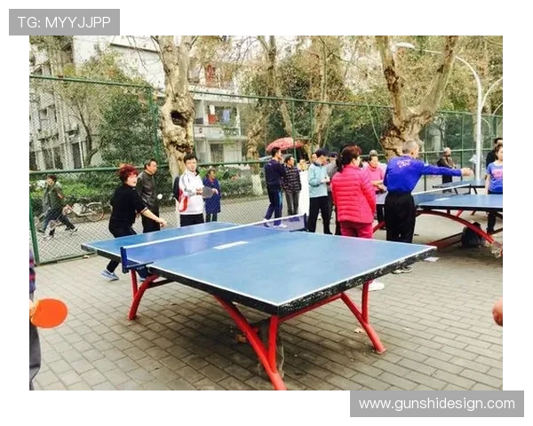 成都乒乓球队运营模式解析与发展前景探讨